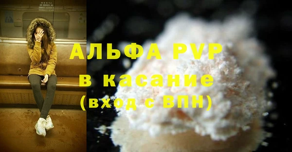 прущие грибы Горнозаводск