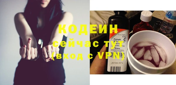прущие грибы Горнозаводск
