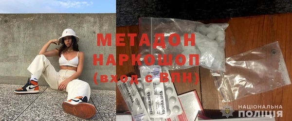 прущие грибы Горнозаводск