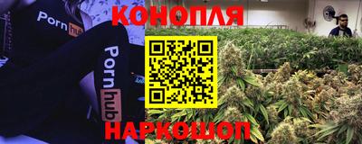 мдпв Гусь-Хрустальный