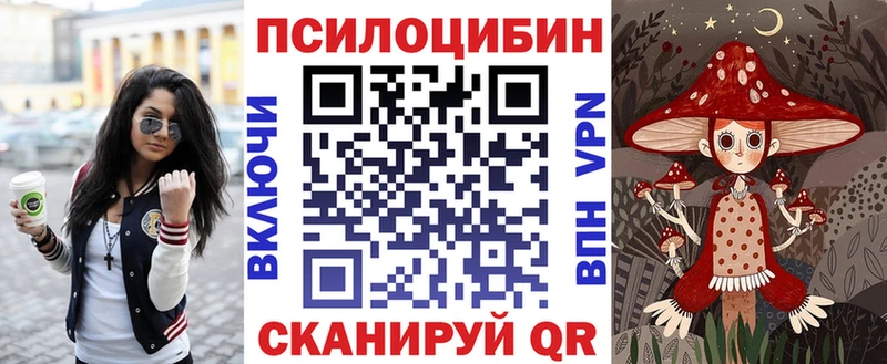 наркотики  мега как войти  Галлюциногенные грибы мицелий  дарк нет телеграм  Дубна 