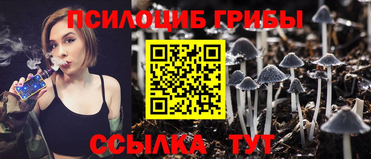 Псилоцибиновые грибы ЛСД  Псилоцибиновые грибы мицелий  Дубна 